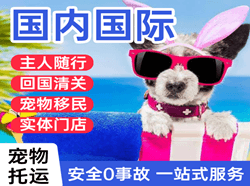 宜春明月山机场托运国际宠物托运 【国